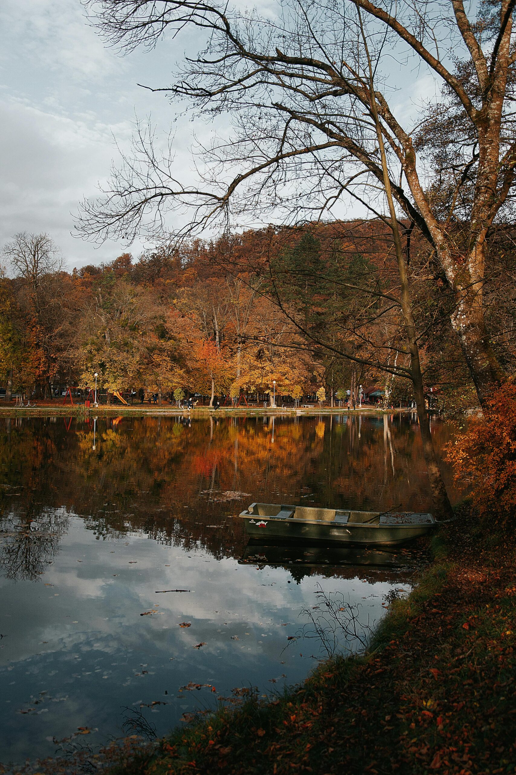 pexels-molnartamasphotography-35248583